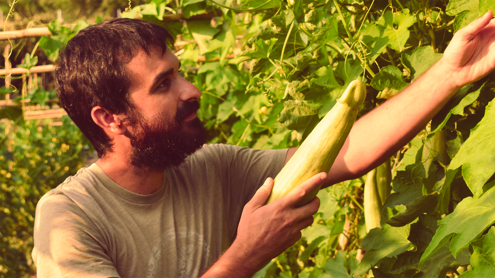 ESVEVA, TRABAJO MANUAL EN NUESTRA PRODUCCIÓN, ESPONJAS VEGETALES VALENCIANAS