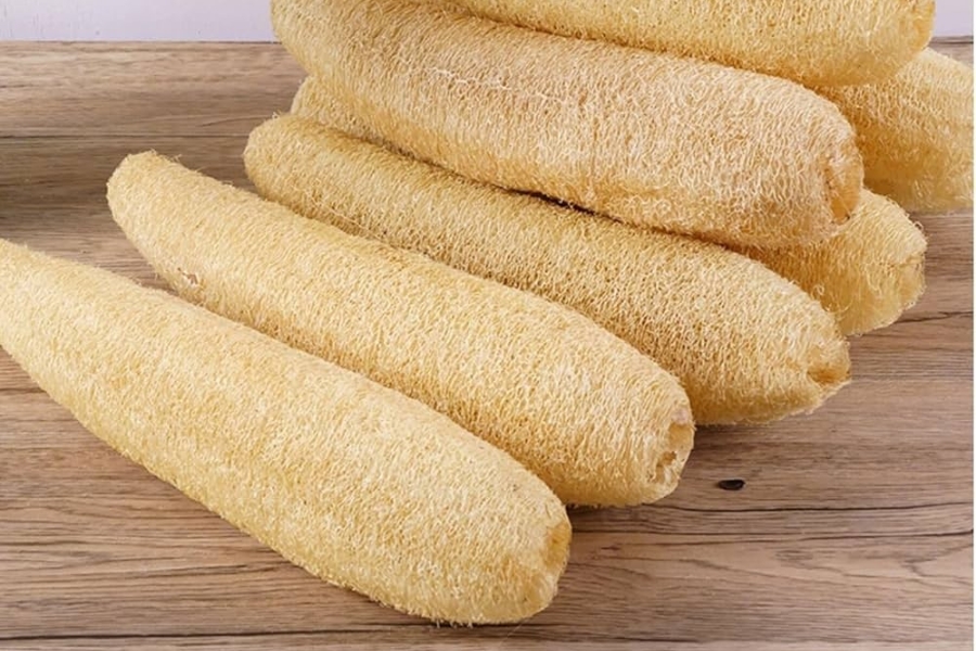 Esponjas ecológicas al por mayor