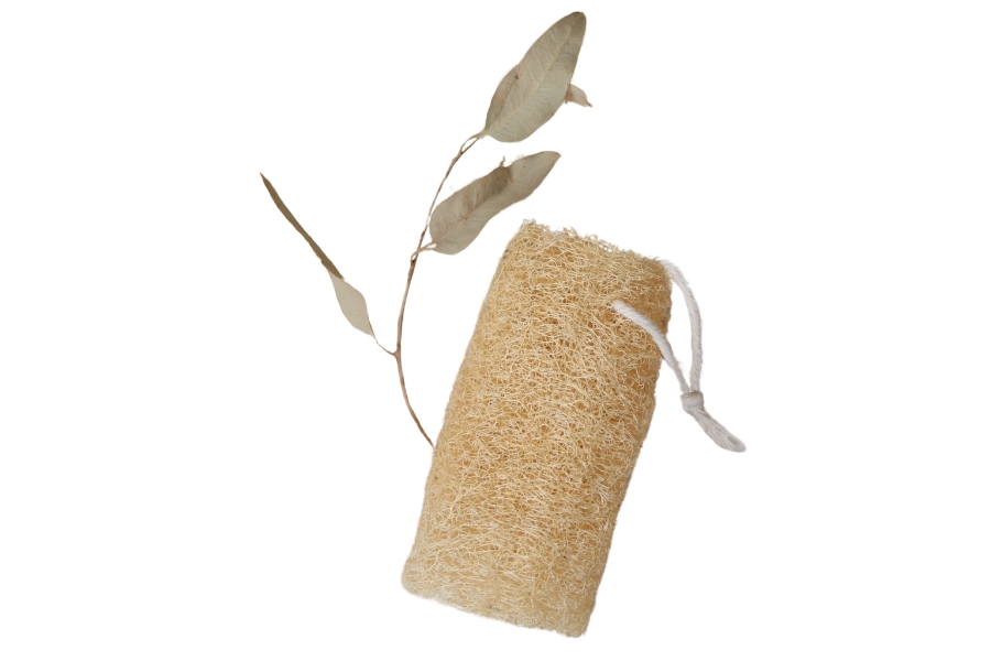 Producción nacional esponjas vegetales