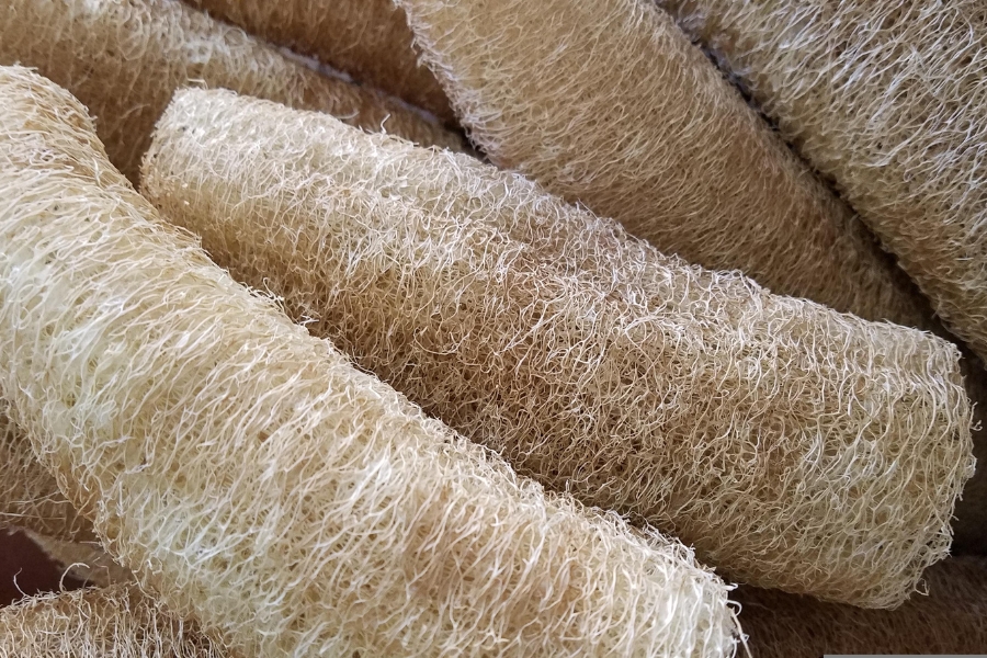 Esponjas vegetales por mayor
