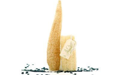 La magia de la producción nacional de esponjas de luffa: sostenibilidad con raíces locales