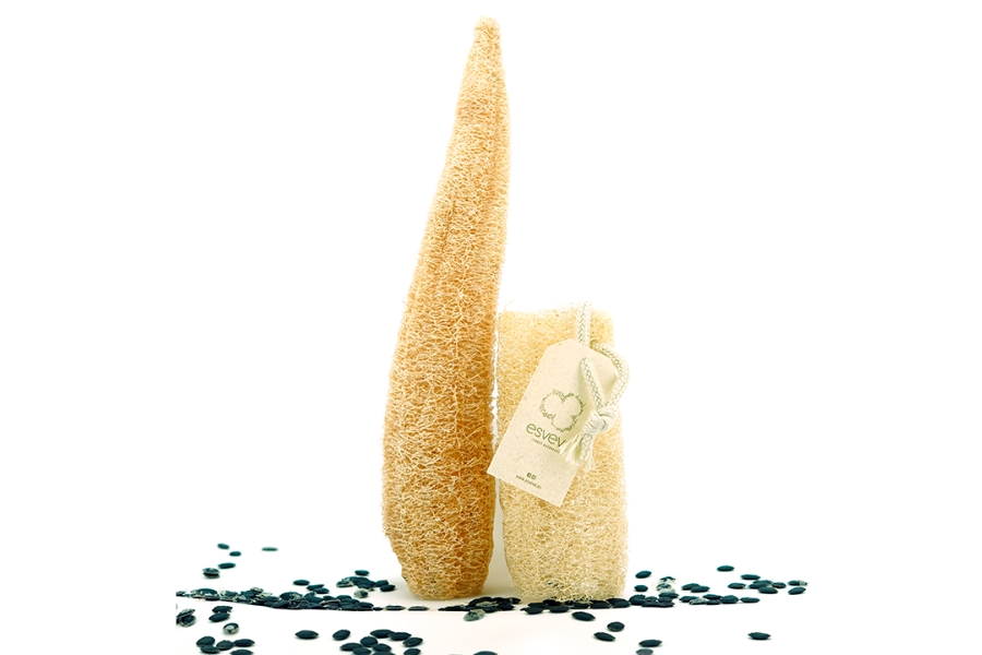 Producción nacional de esponjas de luffa Producción nacional de esponjas de luffa