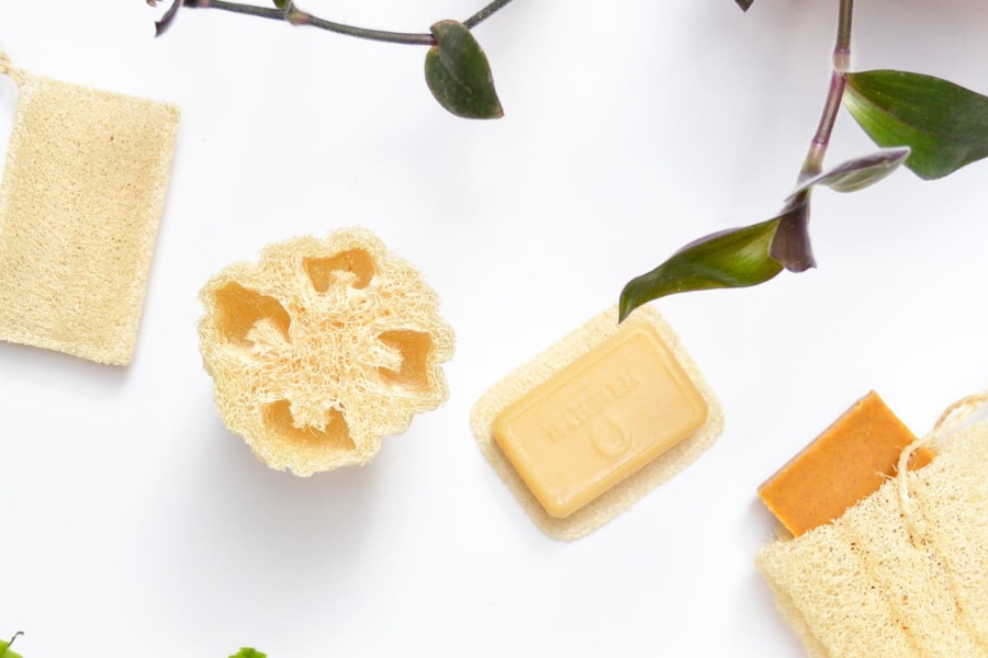 Producción nacional esponjas de luffa