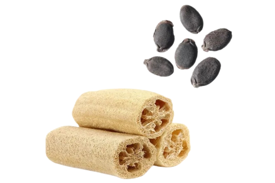 Productores de esponjas naturales