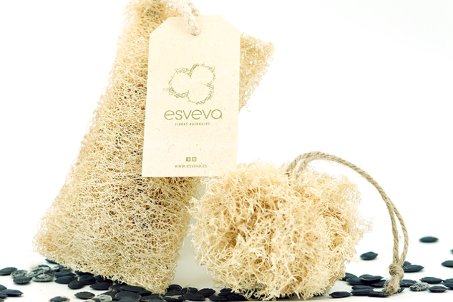 Fabricantes esponjas ecológicas