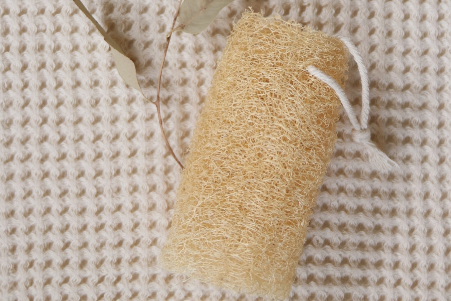 Producción nacional esponjas naturales