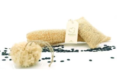 Fabricantes de esponjas naturales: ¿Por qué la producción local es mejor para tu piel?