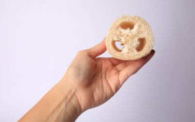 Esponjas vegetales: cuidado natural para tu piel y tu hogar