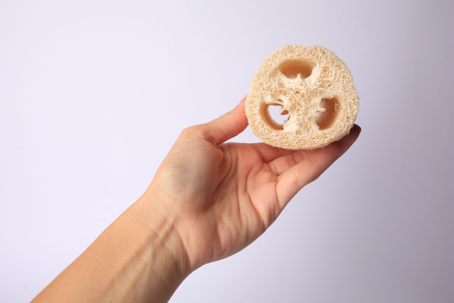 Esponjas vegetales Esponjas vegetales