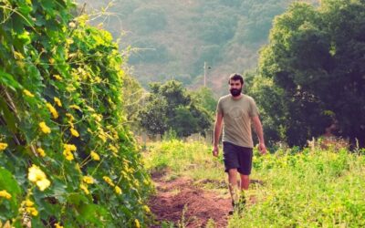 Productores de esponjas naturales: calidad artesanal que marca la diferencia