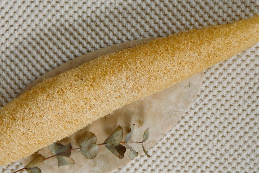 Productores de esponjas vegetales